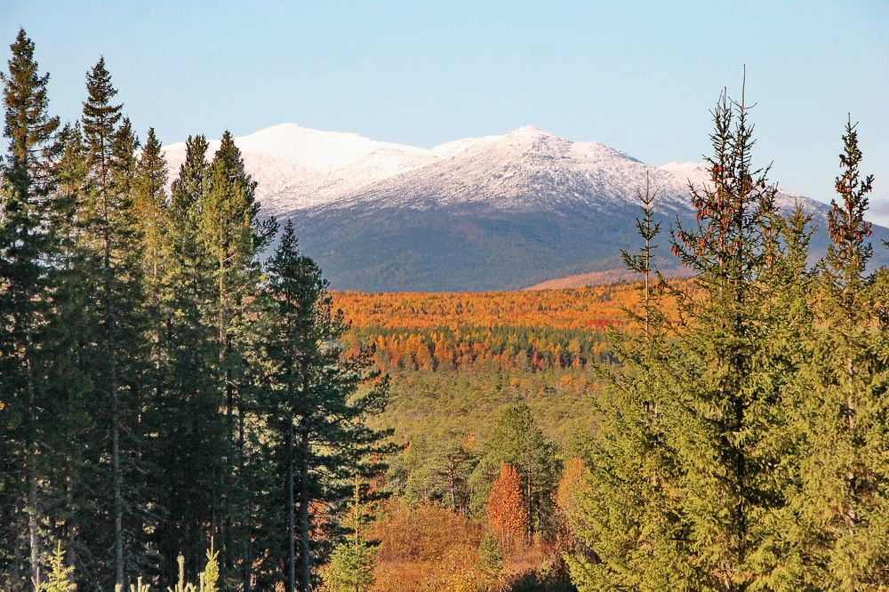 Photograph by Sergei Petrov