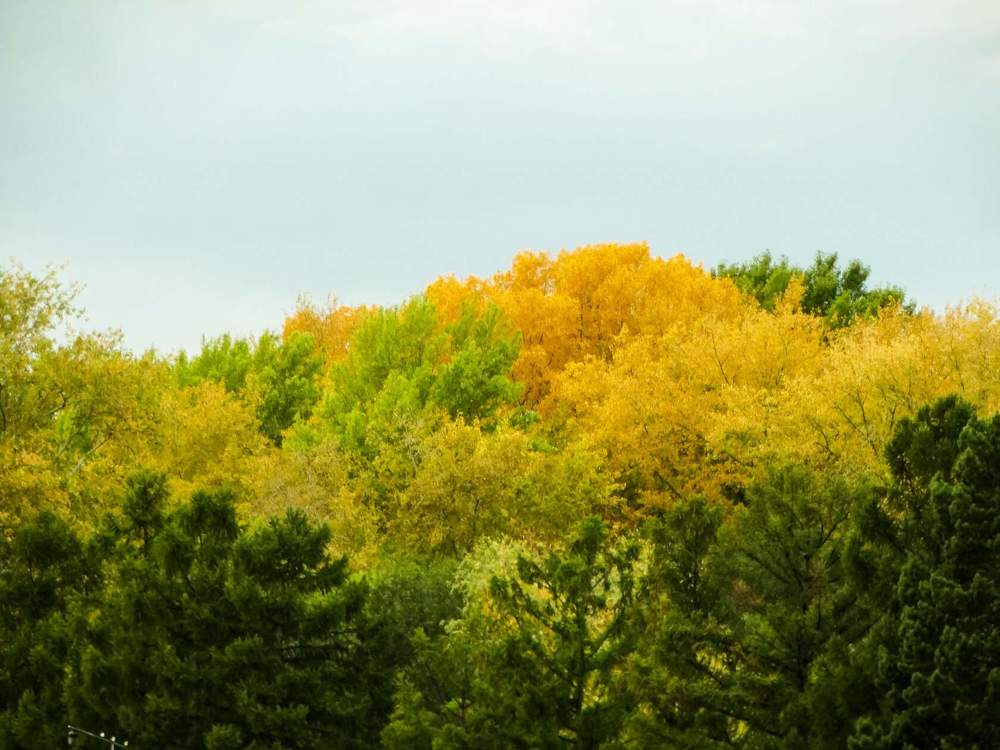 Photograph by Анжелика Трошина