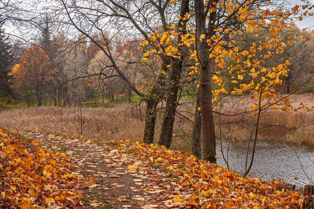 Photograph by Анатолий Мигов