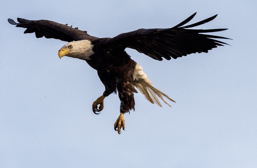 Photograph by Lisa Watkins