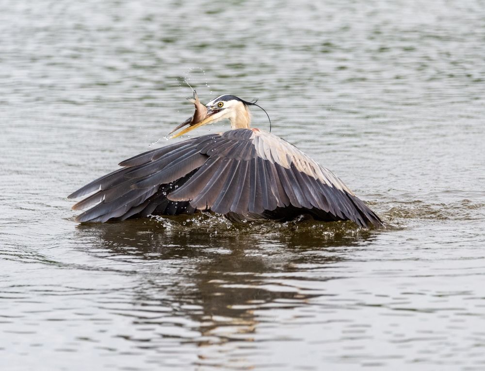 Photograph by Lisa Watkins