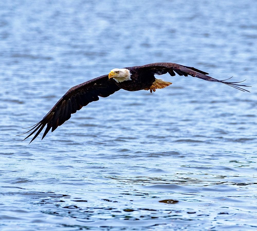 Photograph by Lisa Watkins