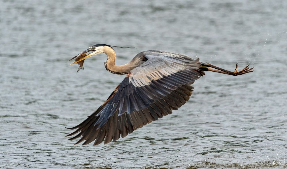 Photograph by Lisa Watkins