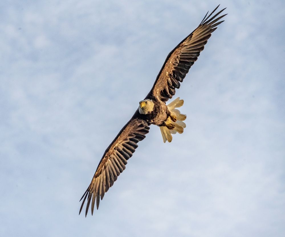 Photograph by Lisa Watkins