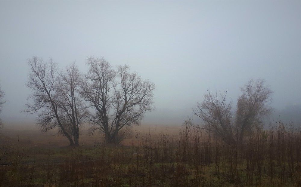 Photograph by Людмила Колеватова