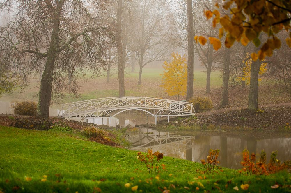 Photograph by Анастасия Ломаева