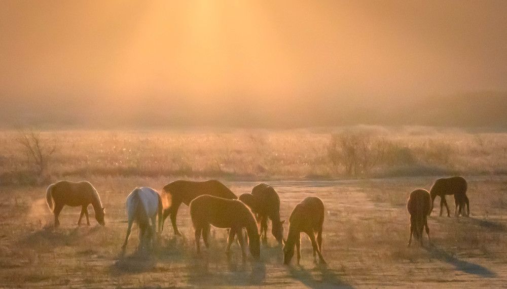 Photograph by Олег Волков