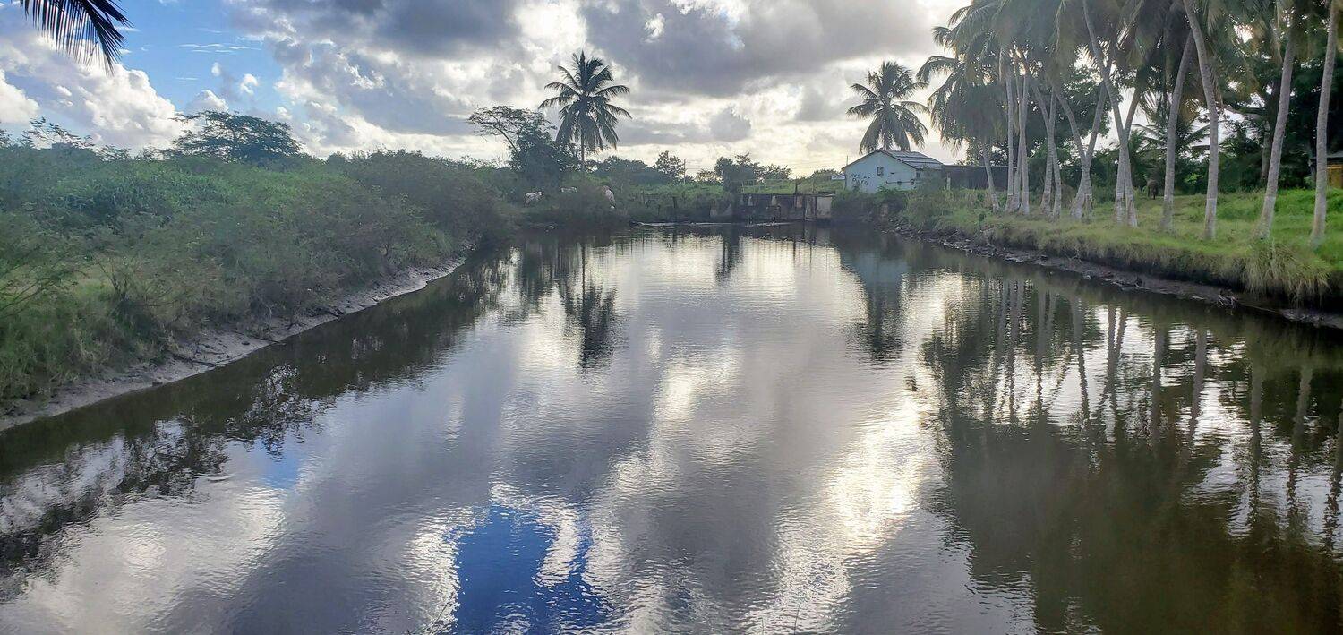 Cane sugar dam.