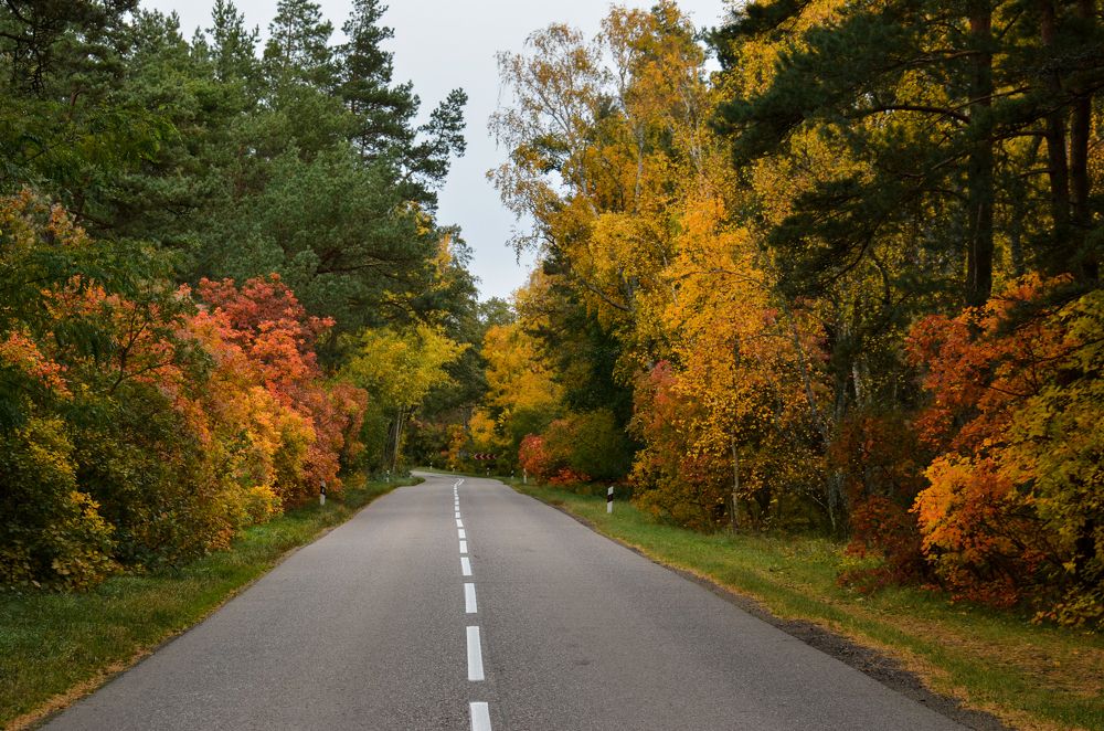 Photograph by Карен Багдасарян