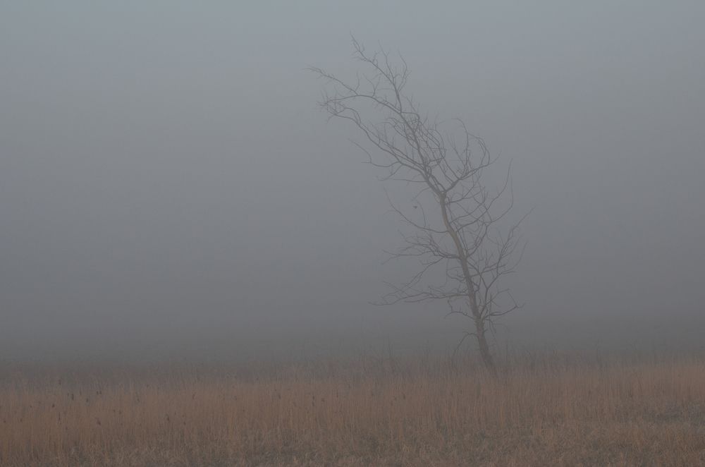 Photograph by Карен Багдасарян