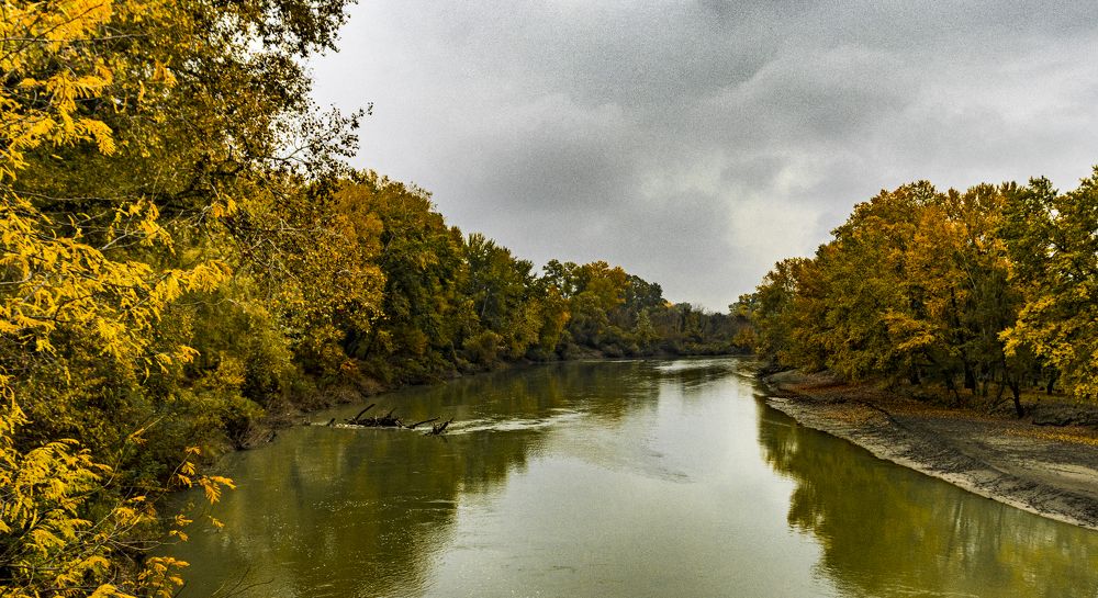 Photograph by Alex Kalpus