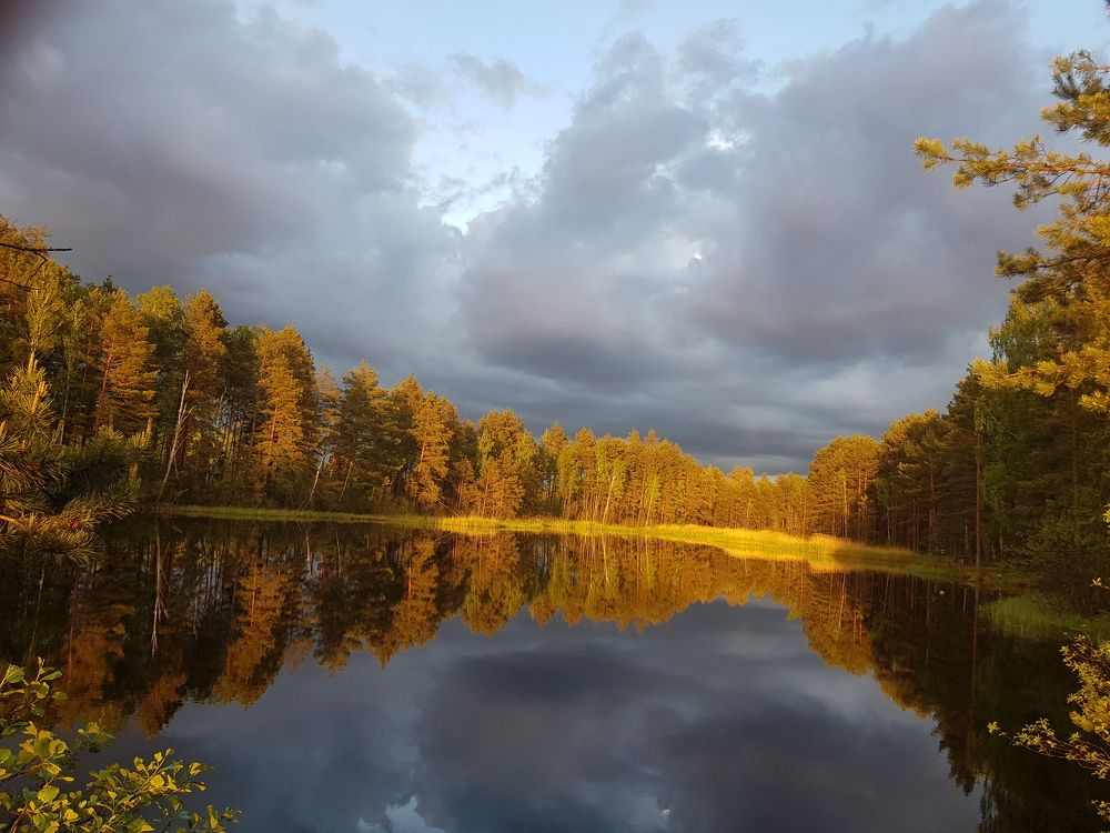 Photograph by Ліана Устимчук