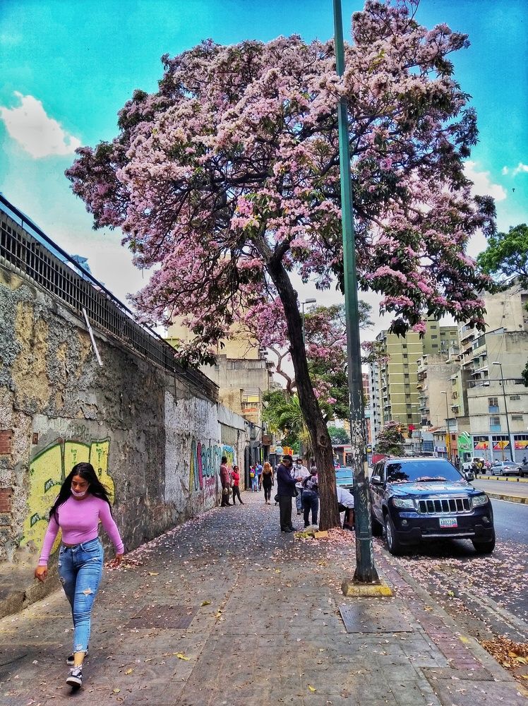 Photograph by Edwin Mijares