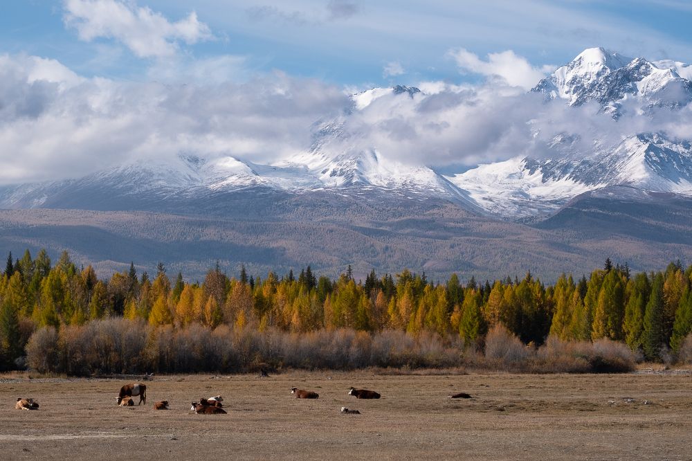 Photograph by Вадим Коротеев
