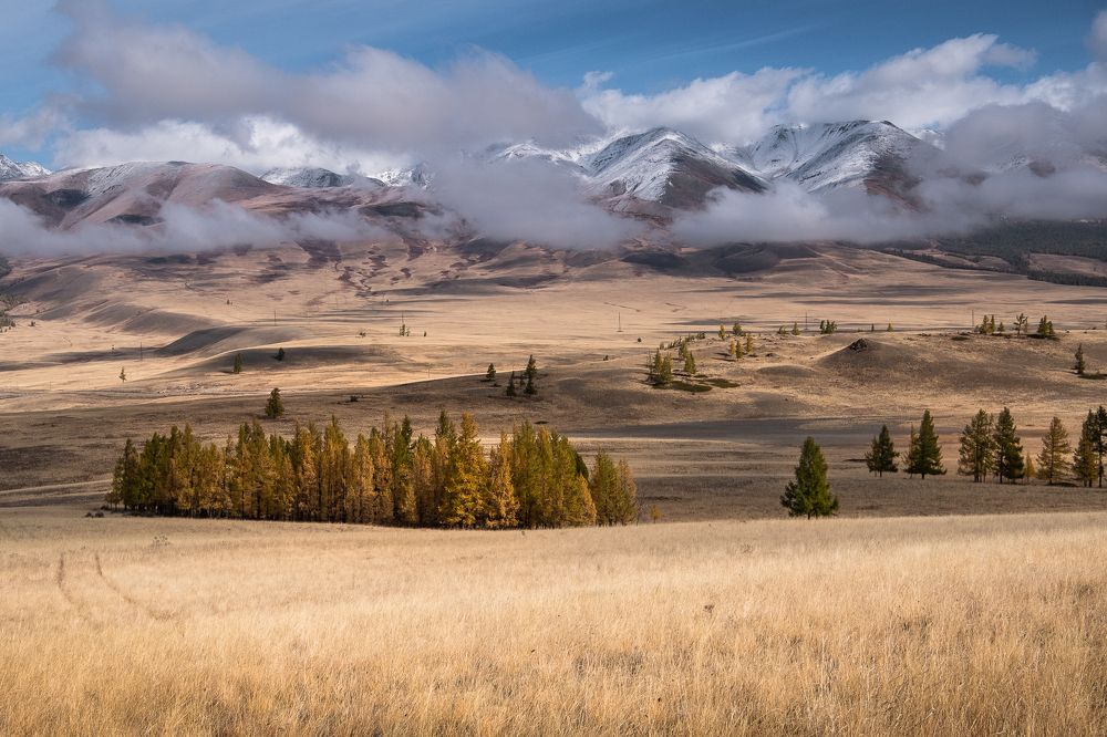 Photograph by Вадим Коротеев