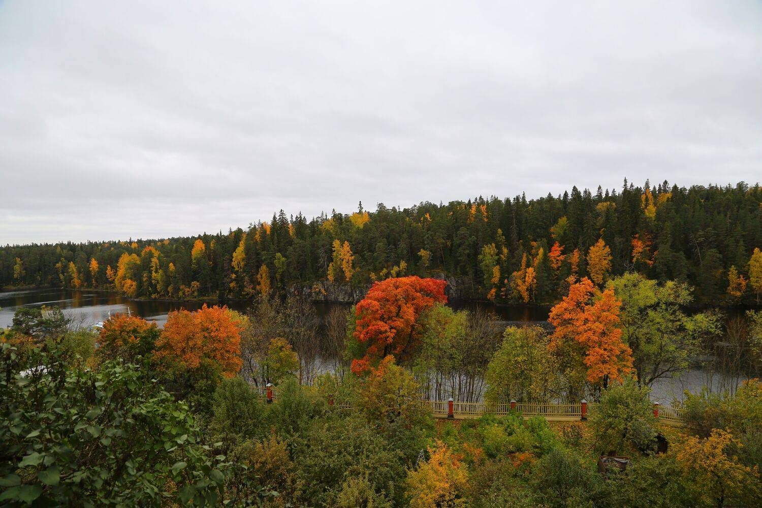 Photo #6749443