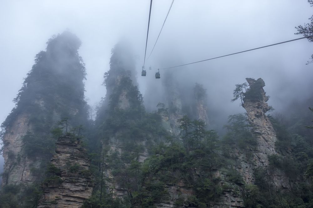 Дорога на планету Пандора