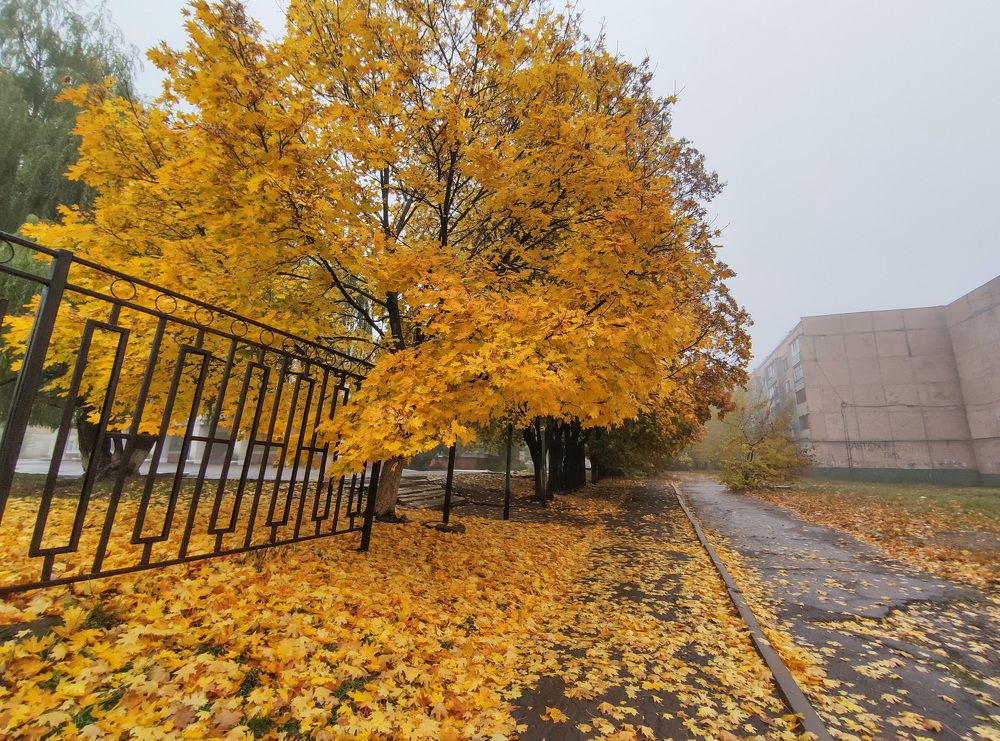 Photograph by Дина Горбачёва