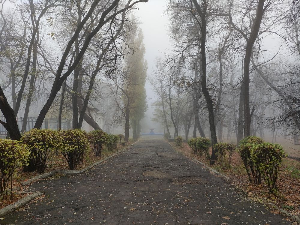 Photograph by Дина Горбачёва