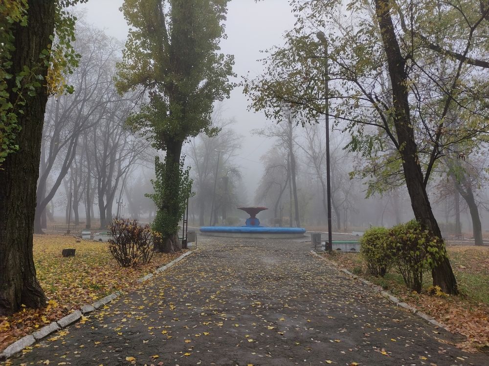 Photograph by Дина Горбачёва