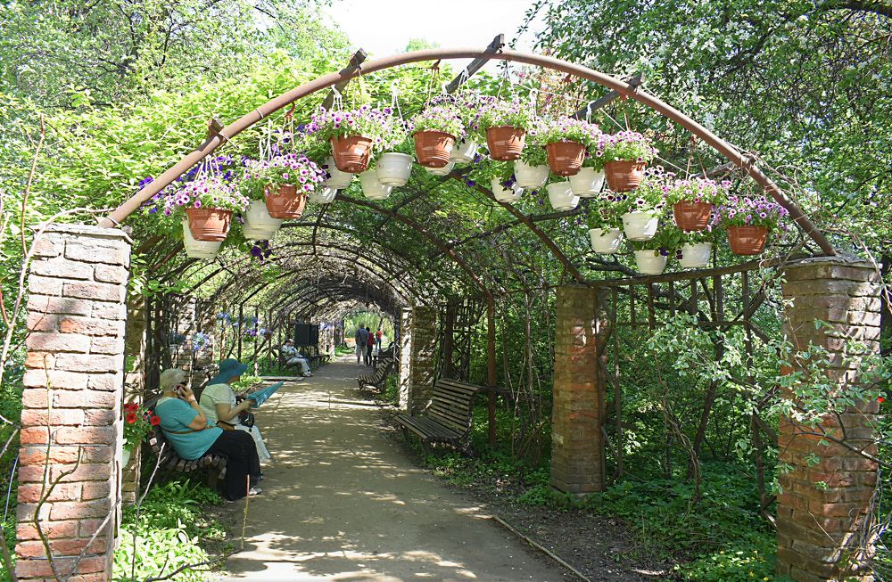 Photograph by Сергей Иванович Носов