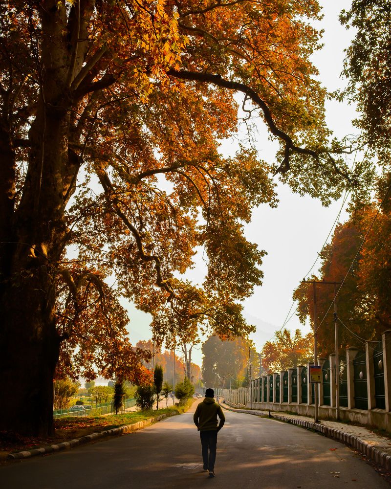 Photograph by Raashid Khair