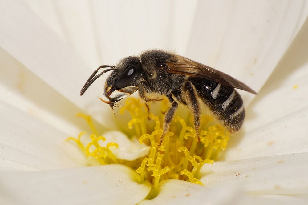 Photograph by Sergios  Kozmidis