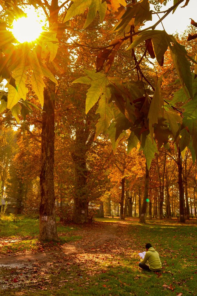 Photograph by Raashid Khair