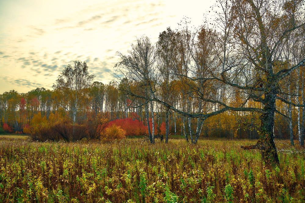 Photograph by Владимир Малевич