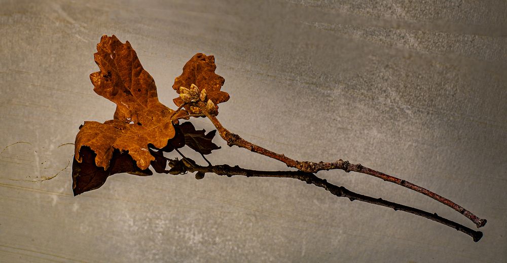 Photograph by Ritsa Karasmanoglou