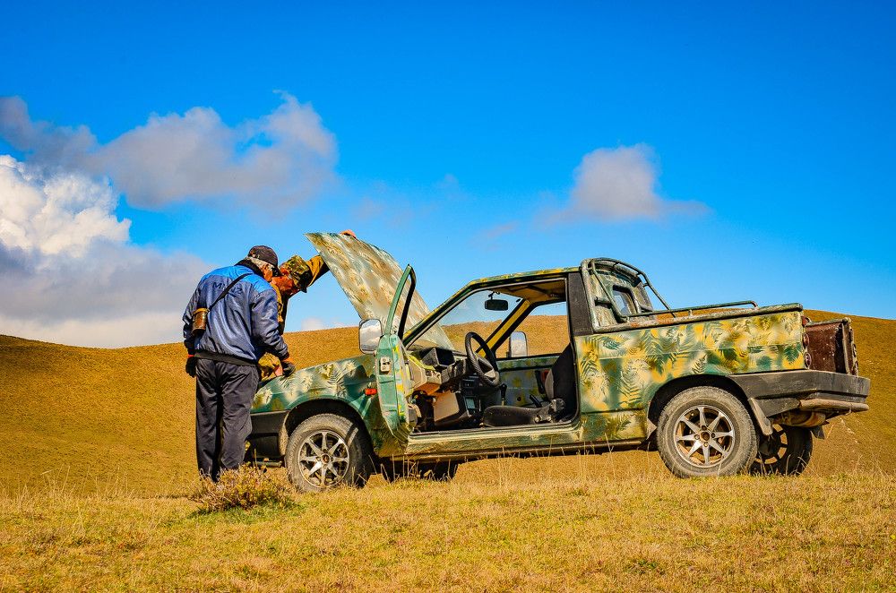 Лада по прозвищу "Койот"