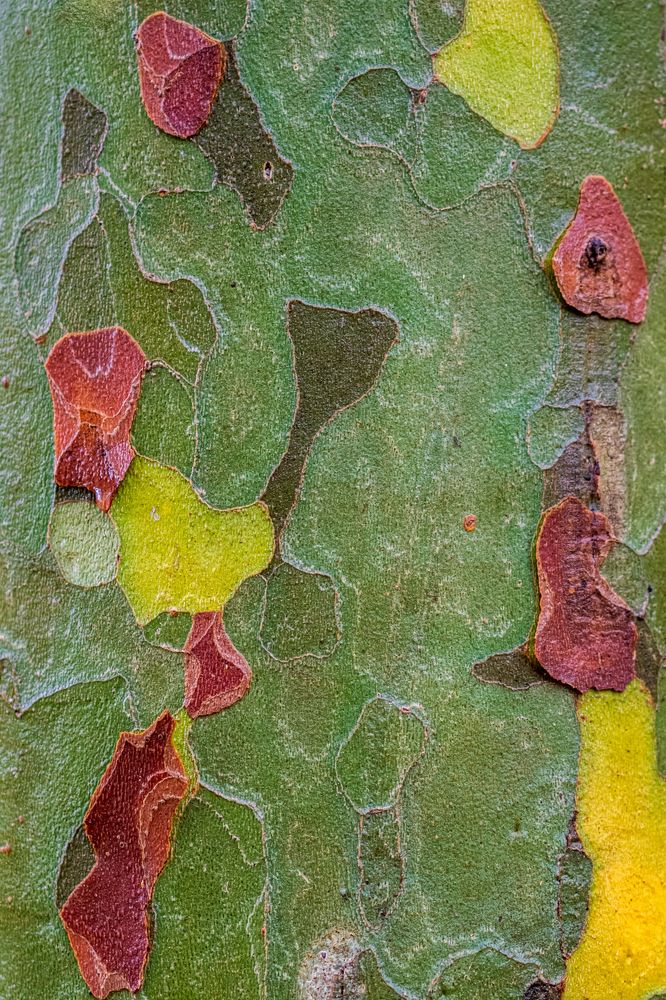 Photograph by Ata Hassanzadeh.D