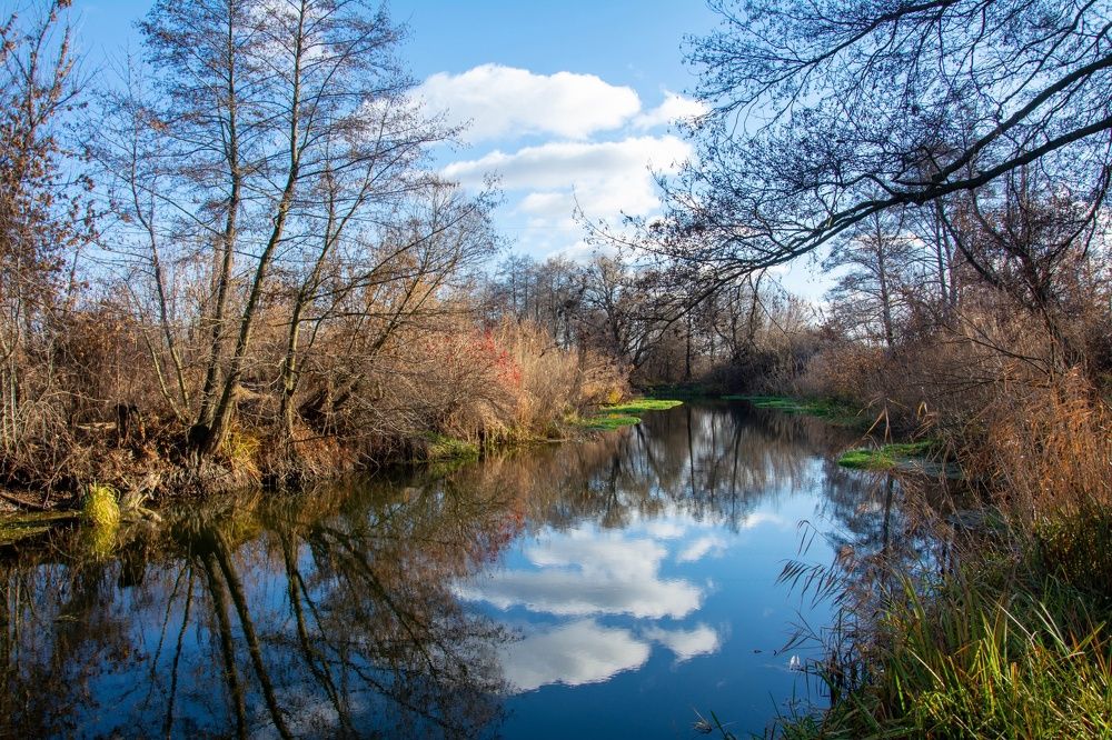 Photograph by Александр Лобынцев