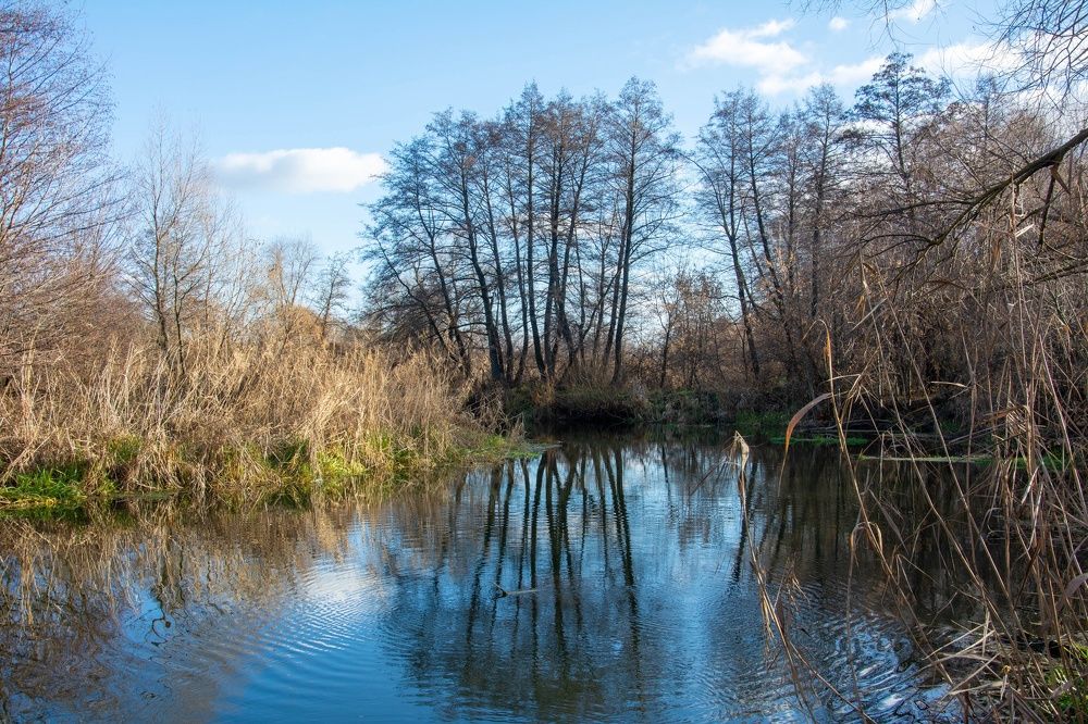 Photograph by Александр Лобынцев