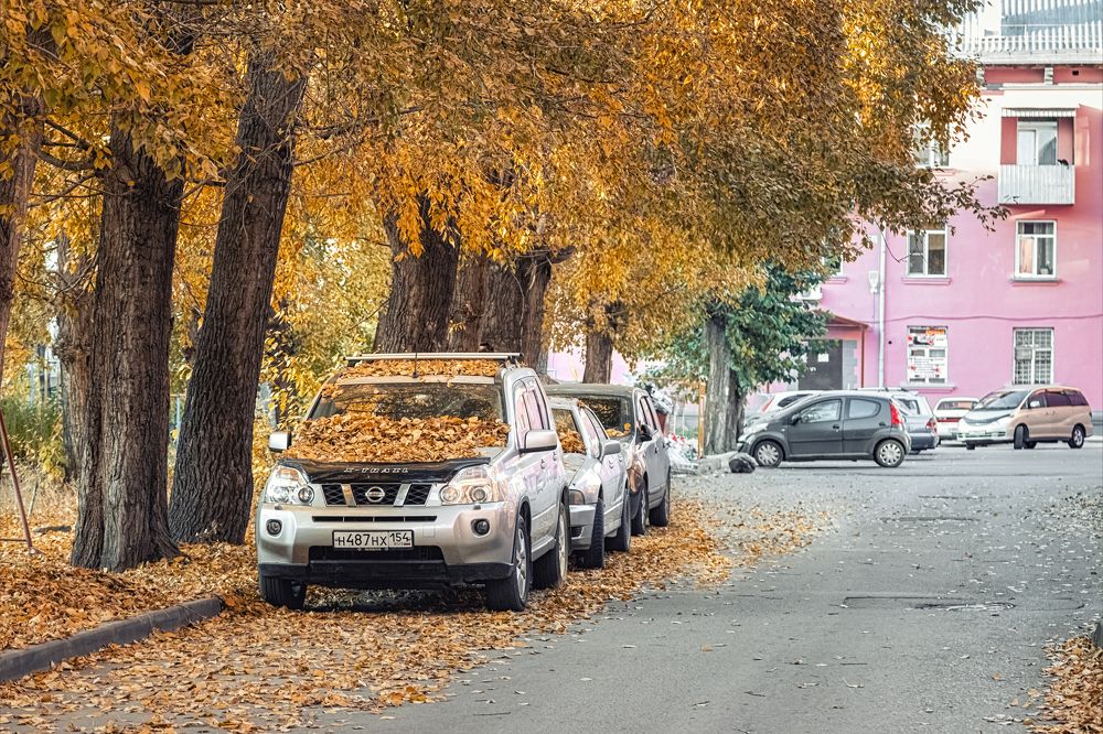 Photograph by Елена Черненко