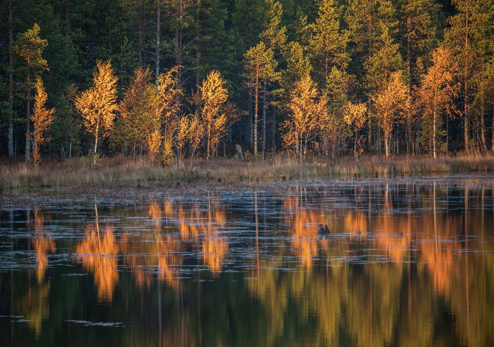 Photograph by Svetlana Dorokhova