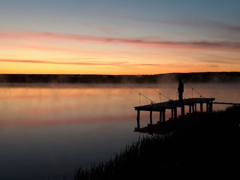 Фотография автора Елена Пикатова