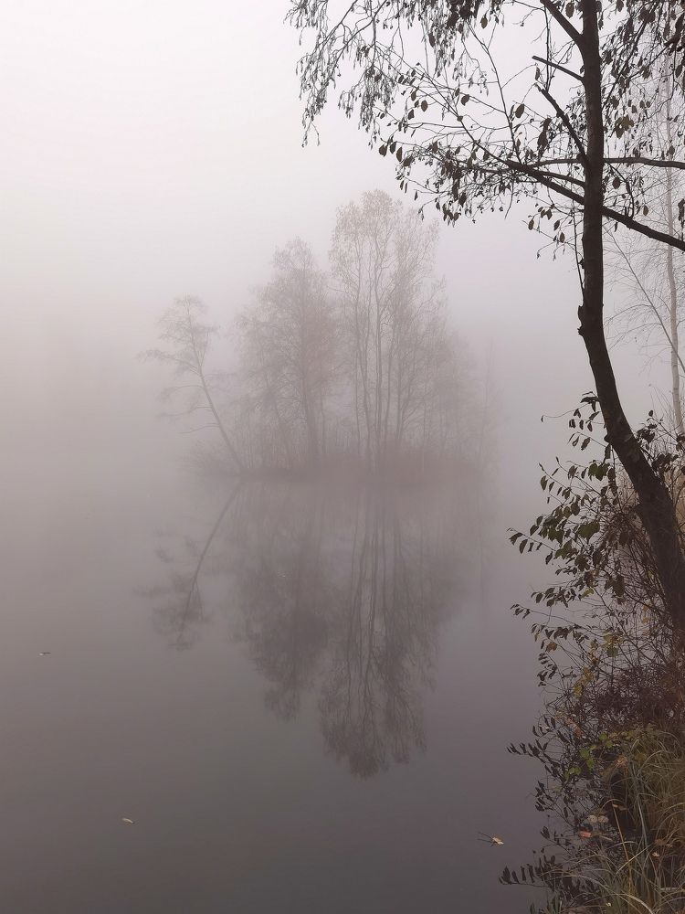 Photograph by Олеся Газиева