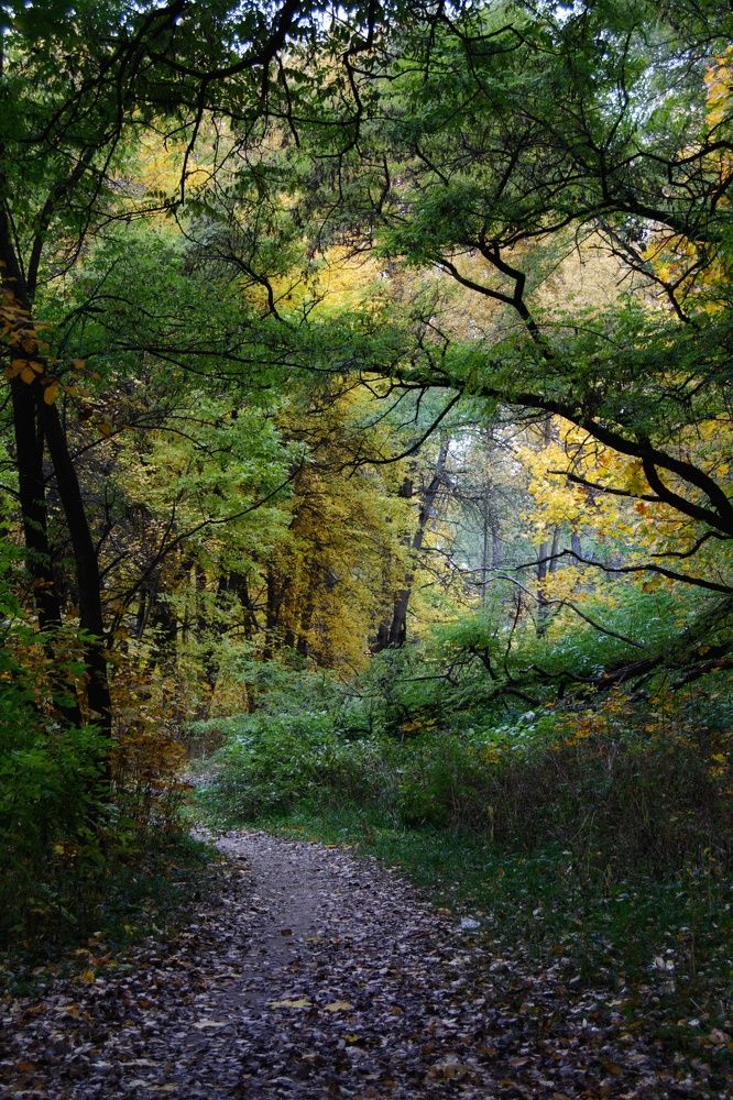 Photograph by Юлия Марфонова