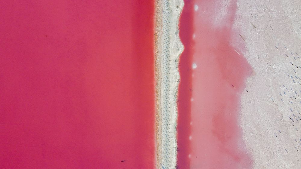 Photograph by Chic.chiquitita