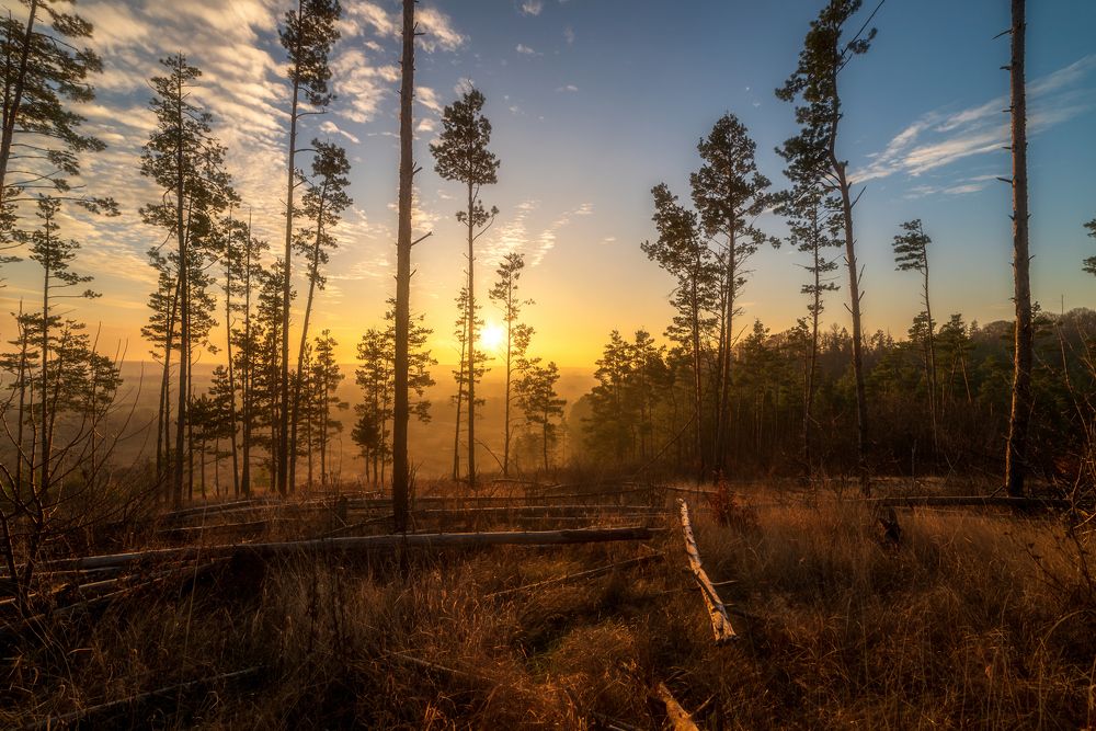 Ноябрьское утро.