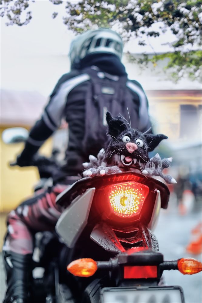 Photograph by Игорь Майоров