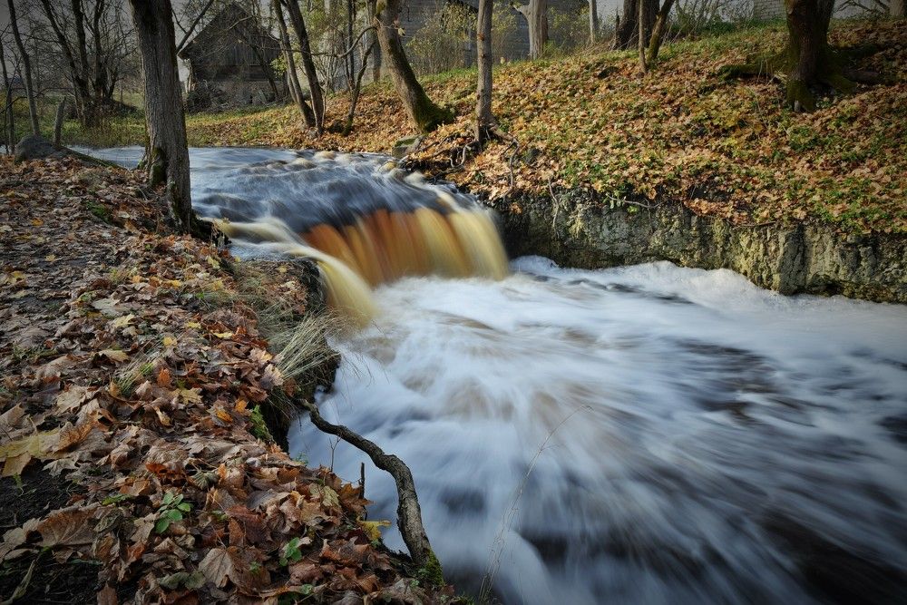 Photograph by Larisa Cekanaviсa