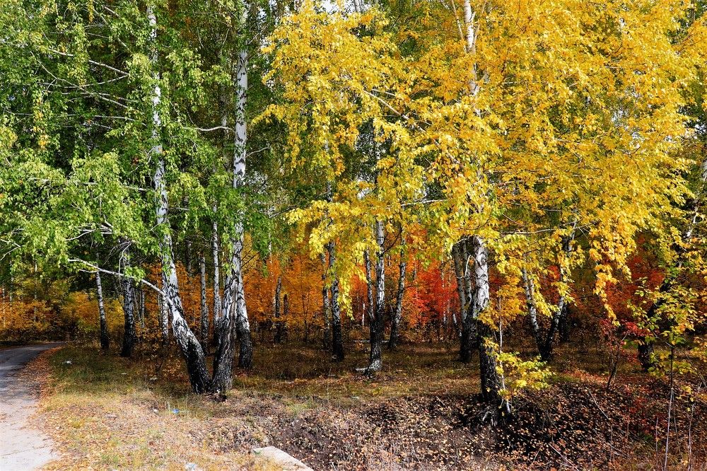 Photograph by Федоренко Элеонора