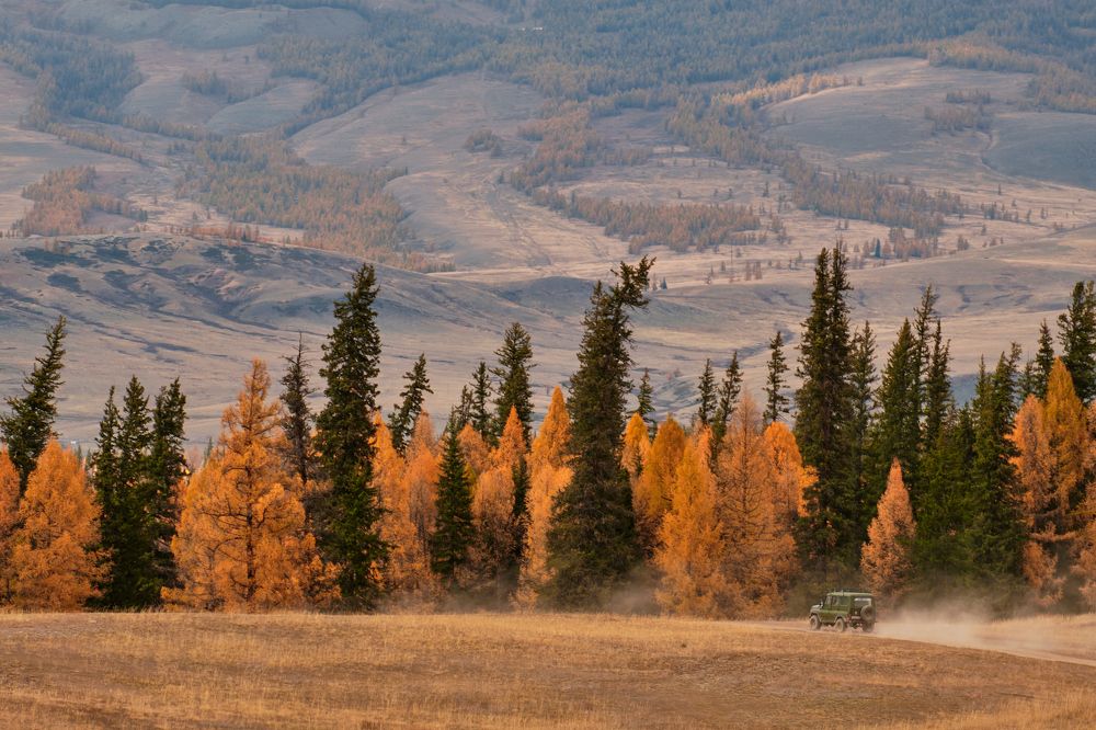 Фотография автора Владимир Эделев