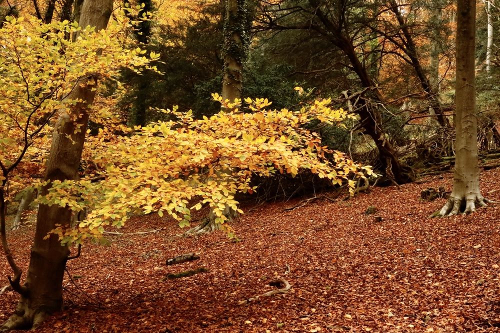 Photograph by Inga Dreger