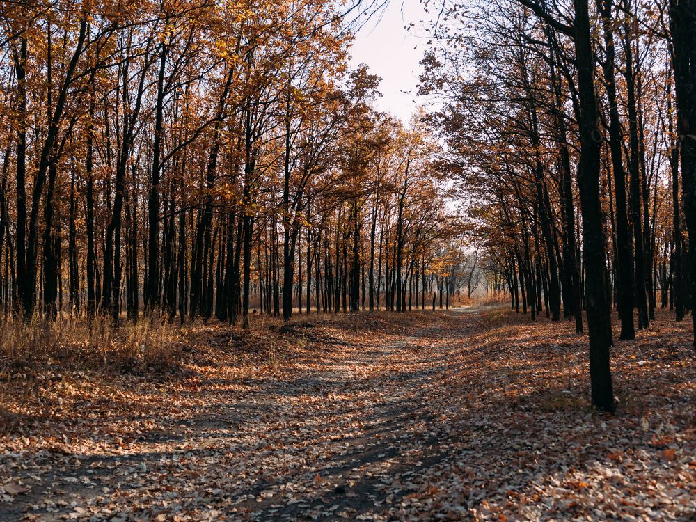 Photograph by Бедряк Юлия