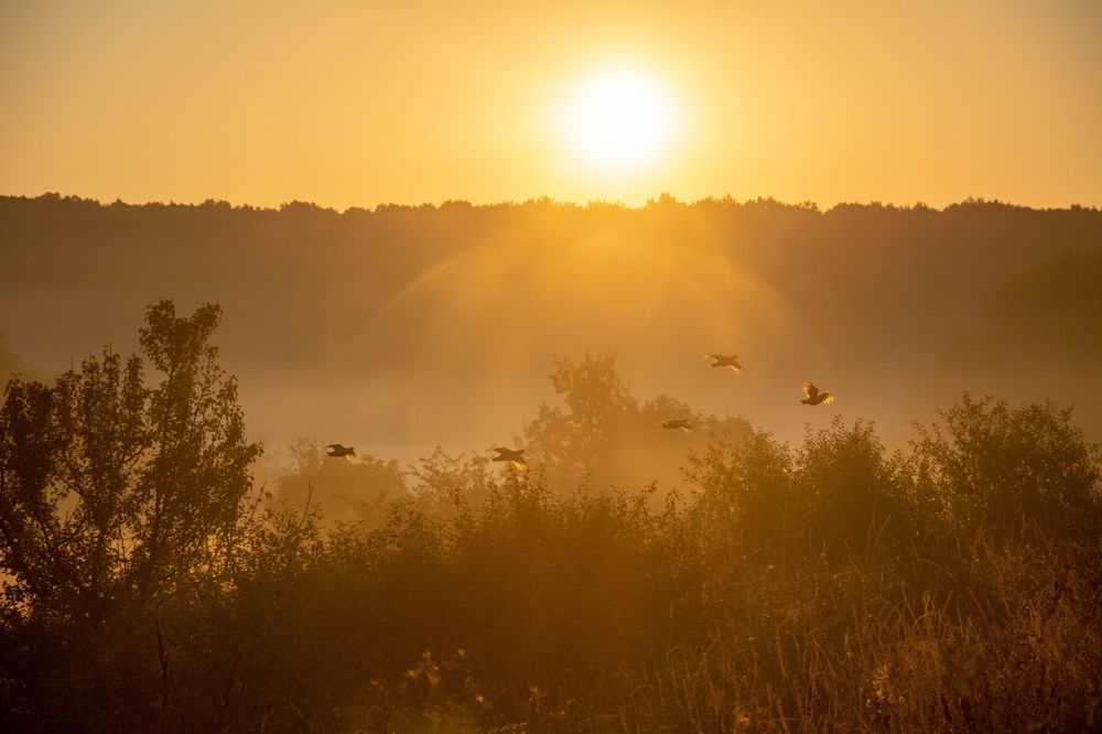 Photograph by Александр Лобынцев