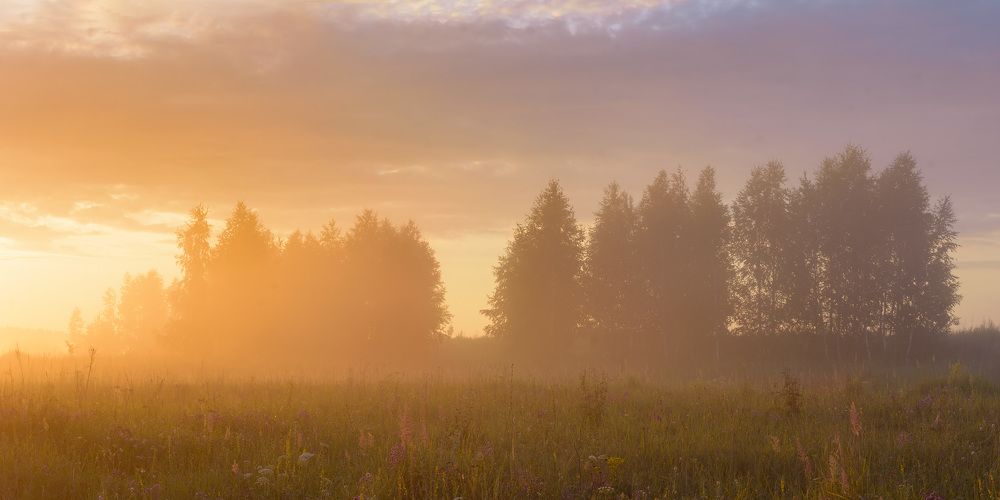 Photograph by Михаил