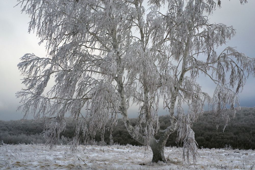 Photograph by Рашит Чумарин